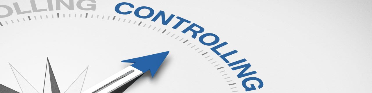 Controlling für Unternehmer und Führungskräfte (Einsteiger)