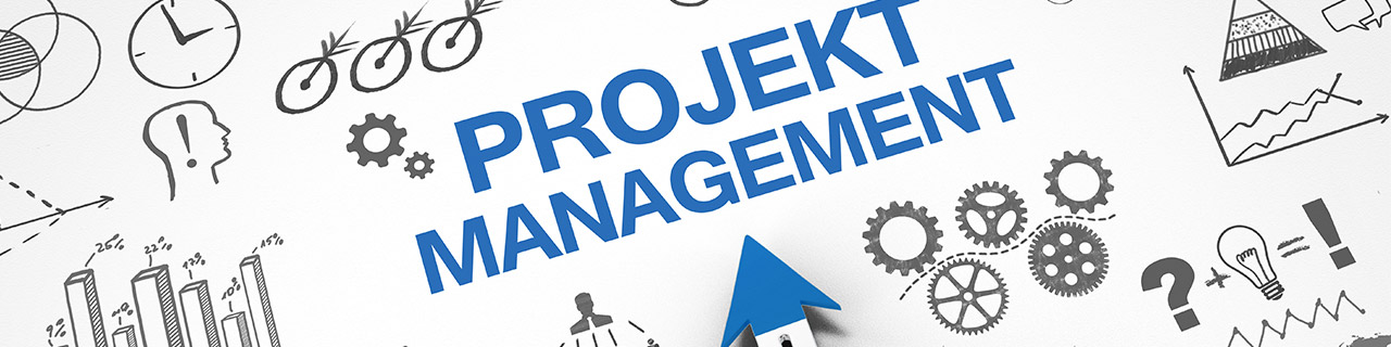 IT Projektmanagement