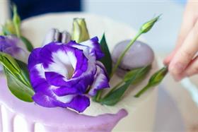 Zuckerkurs für Anfänger:innen    