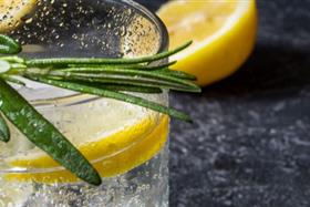 Spirituosentrend Gin  Vom Geist in der Flasche  