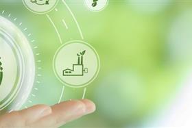 Nachhaltigkeitsmanagement Lehrgang -  Certified Sustainability Expert