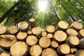 Holzmessen und Sortieren  von Rund- und Schnittholz  